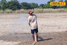 বিধ্বংসী বন্যার পর 'ঈশ্বরের আশীর্বাদ'! কৃষকেরা খুঁজে পেলেন নতুন ভরসা