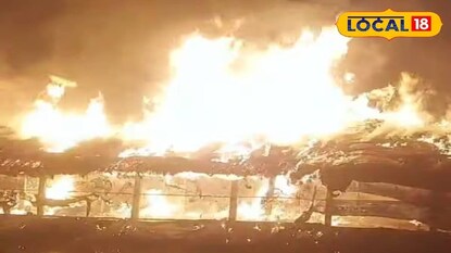 পোলট্রি ফার্মে আগুন পোলট্রি ফার্মে আগুন