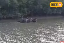 মাছ ধরার জাল আর অসীম সাহস! সুন্দরবনের জঙ্গলজীবীদের এই জীবন অবাক করবে!