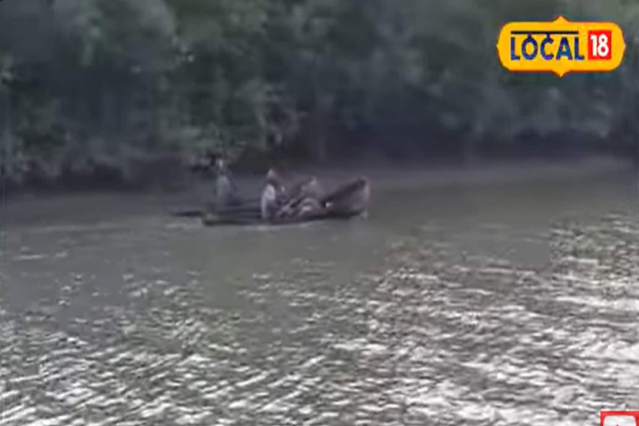 মাছ ধরার জাল আর অসীম সাহস! সুন্দরবনের জঙ্গলজীবীদের এই জীবন অবাক করবে!