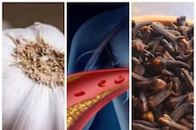 Cholesterol & Heart Disease: রসুন-লবঙ্গর জোড়া সাঁড়াশির ফলা! এই সময়ে এভাবে খেলেই শিরা থেকে ব্লটিং পেপারের মতো শুষে নেবে বদ কোলেস্টেরল! হৃদরোগের ছুটি!