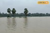 মরার উপর খাঁড়ার ঘা! শিলাবতী, ডিভিসি-র জলে হাবুডুবু খাচ্ছে ঘাটাল