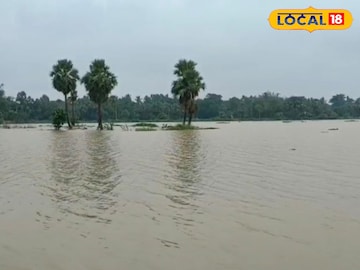 চলতি