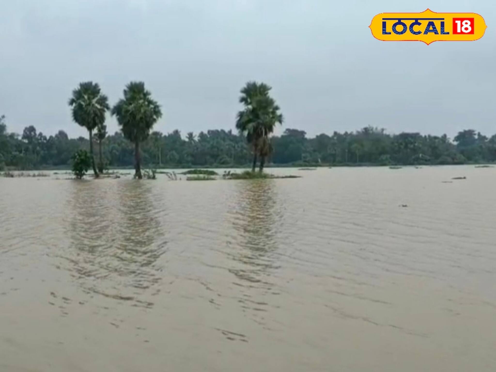 মরার উপর খাঁড়ার ঘা! শিলাবতী, ডিভিসি-র জলে হাবুডুবু খাচ্ছে ঘাটাল