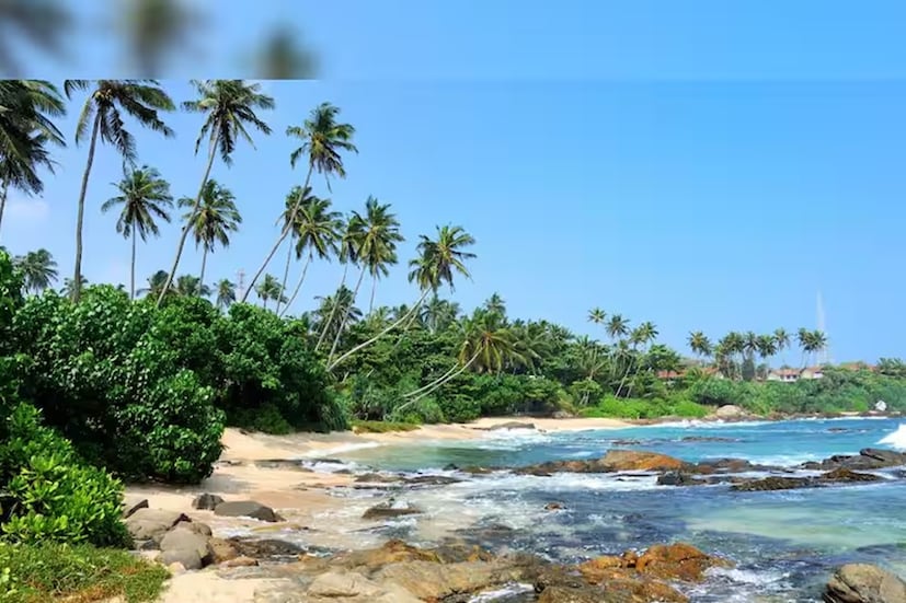 ঘোঘলা বিচ, দমন ও দিউ: ঘোঘলা বিচ তার সোনালি বালি, শান্ত ঢেউ এবং এর আশপাশের পরিবেশ দিয়ে দর্শনার্থীদের মুগ্ধ করে।