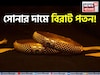 সোনার দামে বড় পতন! দেখে নিন ১ গ্রাম সোনা কতটা সস্তা হল