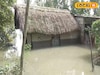 কোটালে জলের তোড়ের ভয়ঙ্কর চেহারা! থমকে বাঁধ মেরামতি, রায়মঙ্গলের নোনা জলে ভাসছে গোসাবা