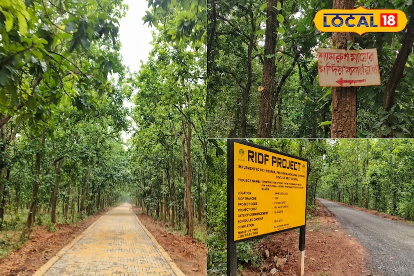 দুর্গাপুরের মুচিপাড়া-জয়দেব মূল রাস্তা থেকে গভীর জঙ্গলে ছ'কিলোমিটারের ভেতরে এই মন্দির। চলতি বছরে পঞ্চায়েত মন্ত্রী প্রদীপ মজুমদারের উদ্যোগে বিভিন্ন দফতরের অনুমোদন মেলায় তৈরি হয়েছে রাস্তা। জঙ্গলের ভেতর দিয়ে দু’টি রাস্তা তৈরি হয়েছে, মূল রাস্তা থেকে একটি রাস্তা এসেছে শ্যামরূপা মন্দিরে, অন্য রাস্তাটি গিয়েছে মন্দির থেকে দেউল পর্যন্ত।