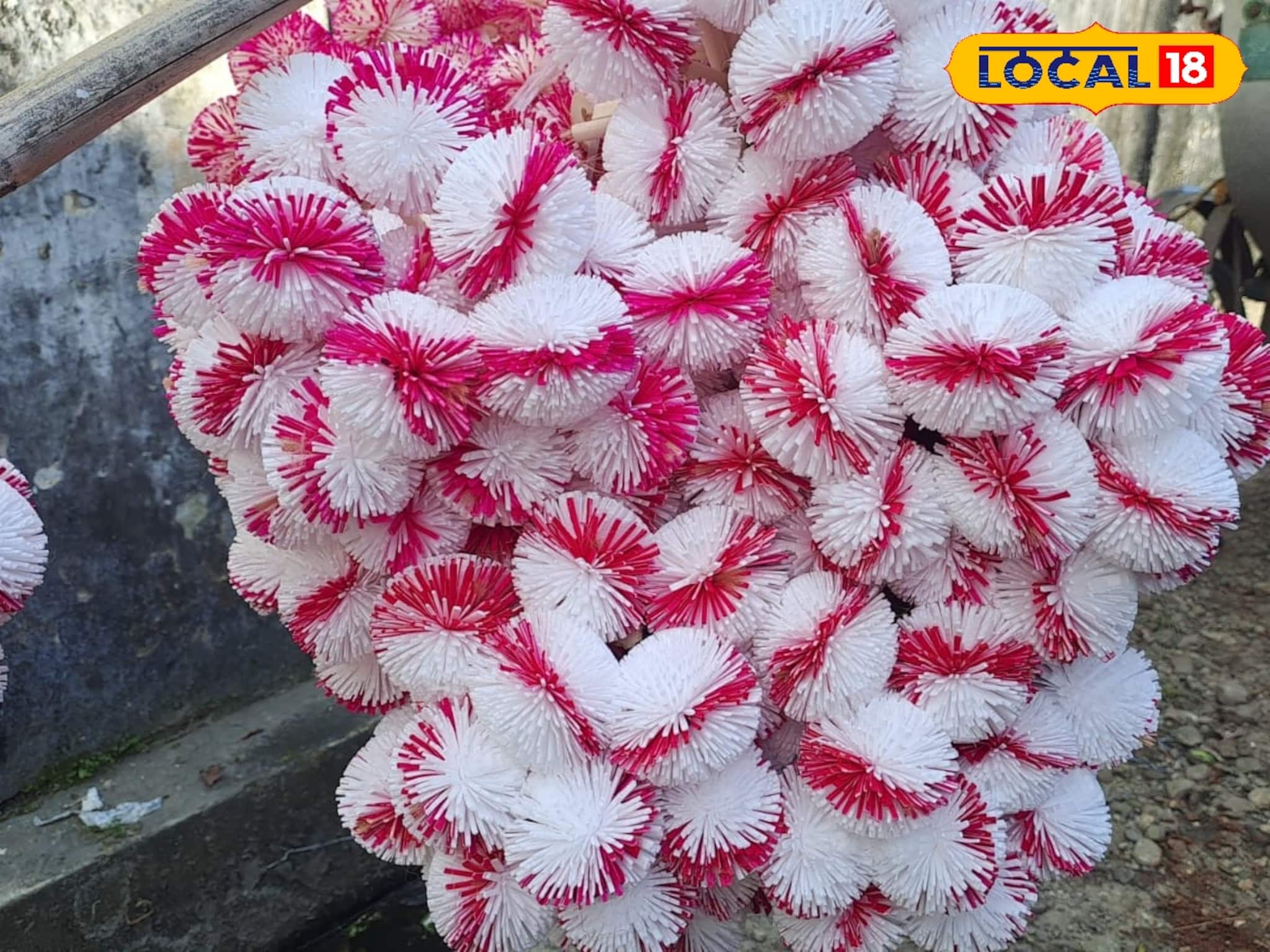 Festive Glory: উৎসবের মরশুমে বাজার ছেয়েছে শোলার কদম ফুলে, কী কারণে ব্যবহার হয় এই ফুল? পড়ুন