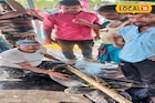 প্রতিমা ভাসান হয়নি, পুকুরের জলে ওটা কী ভাসছে? দশমীর দিনে ভয়ঙ্কর দৃশ্য! জাল ফেলতেই...