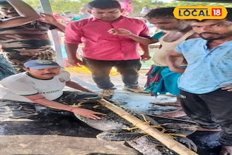 ঠাকুর ভাসান হয়নি, পুকুরের জলে ওটা কী ভাসছে? দশমীর দিনে ভয়ঙ্কর দৃশ্য! জাল ফেলতেই...