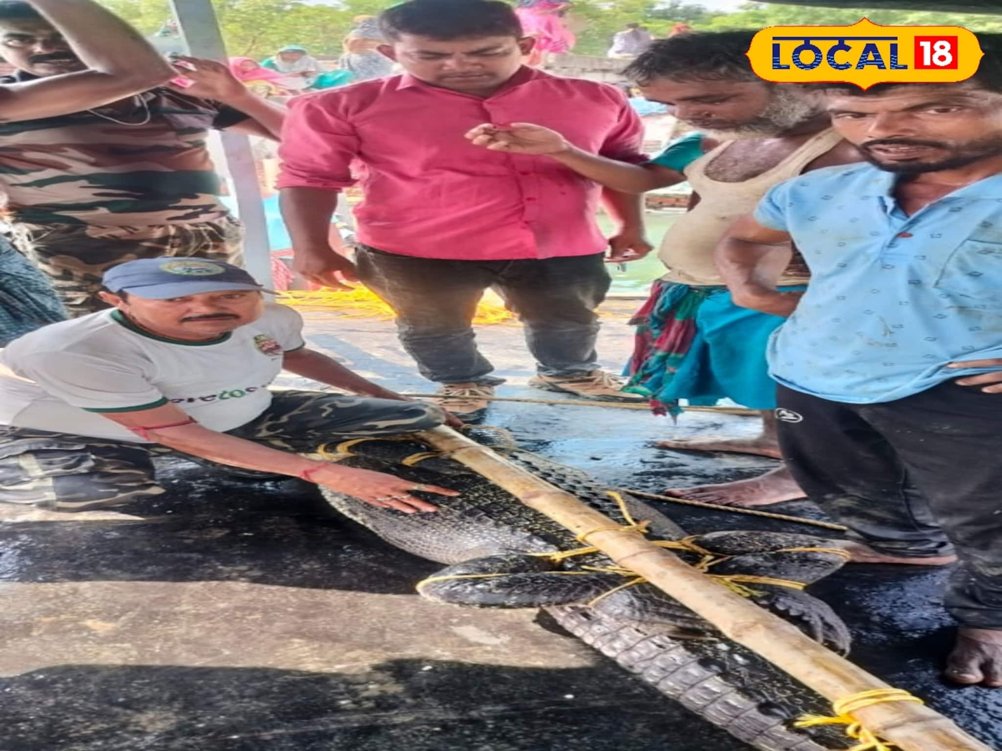 প্রতিমা ভাসান হয়নি, পুকুরের জলে ওটা কী ভাসছে? দশমীর দিনে ভয়ঙ্কর দৃশ্য! জাল ফেলতেই...