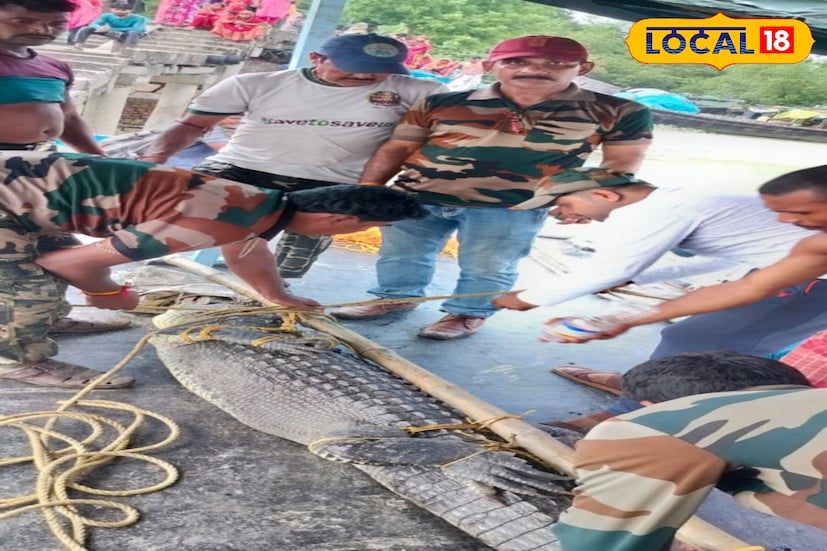 আবহাওয়া খারাপ থাকায় নদী ও সমুদ্রে জলের স্তর বেড়েছে যার জন্য এই ঘটনা ঘটেছে। হঠাৎ করে এলাকায় কুমির ঢুকে পড়ায় স্থানীয়রা আতঙ্কিত হলেও, বনদফতরের কর্মীরা দ্রুত সেই আতঙ্ক প্রশমন করেন।