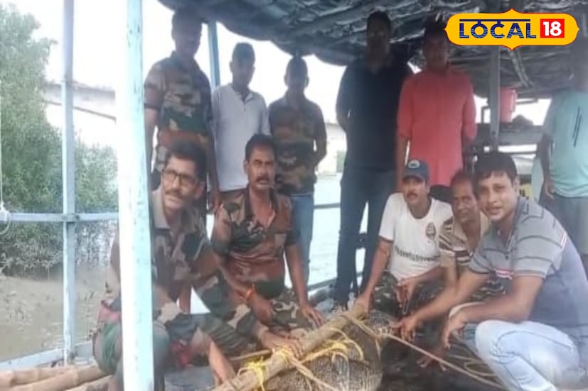 পুজোর সময় বনদফতরের কর্মীরা দ্রুত কাজ করায় খুশি সকলেই। কুমিরটির উদ্ধার করার তার স্বাস্থ্য পরীক্ষা করা হয়েছে। এরপর তাকে বেশ কিছুক্ষণ পর্যবেক্ষণে রাখা হয়। পরে তার স্বাভাবিক আবাসস্থলে ছেড়ে দেওয়া হয়েছে।