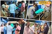 বিজয়া দশমীর রাতেই রক্তে ভিজল রাজপথ! গাড়ি উল্টে গুরুতর জখম আট