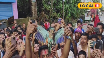 নীলকন্ঠ