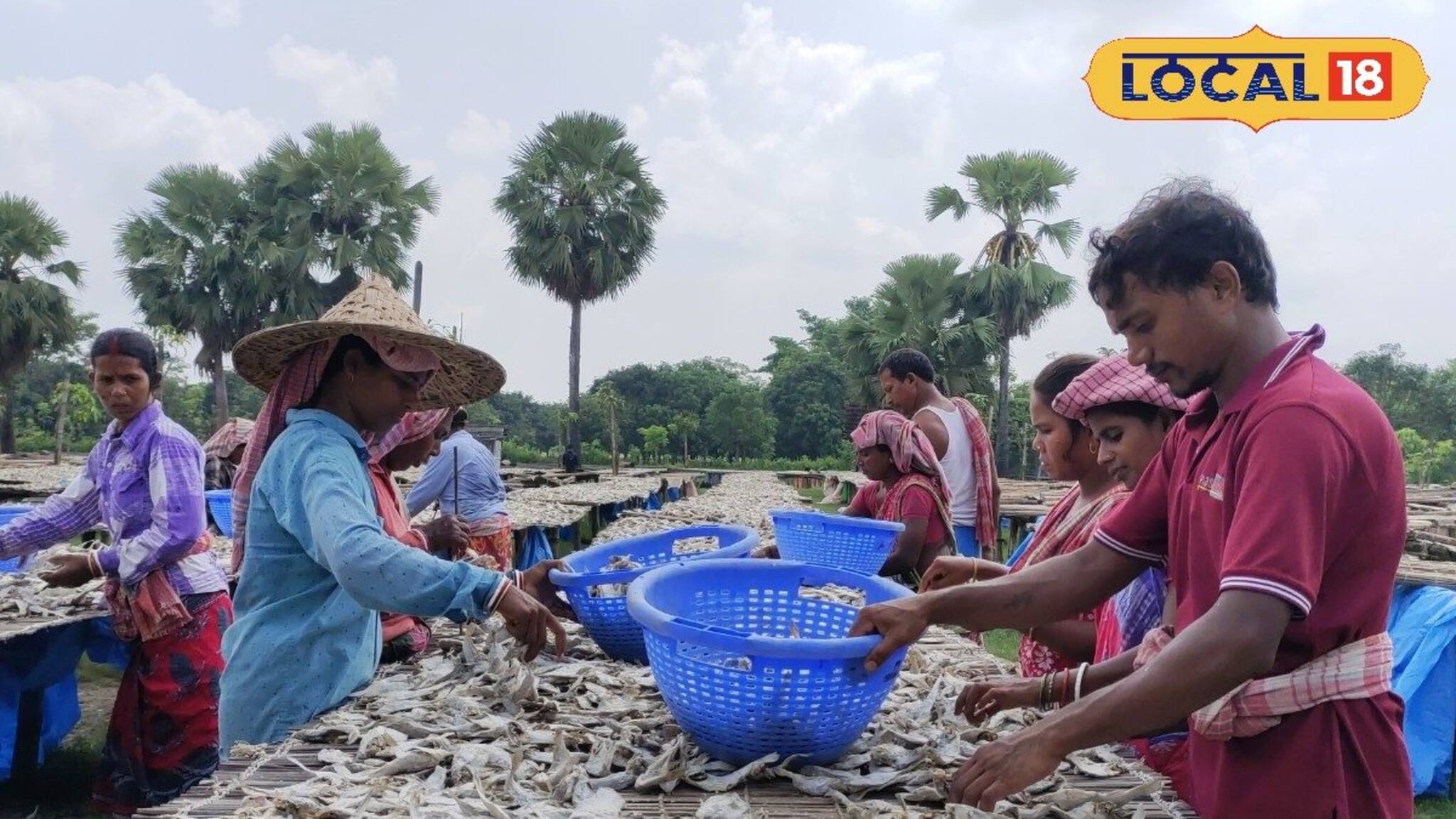 প্রয়োজন পড়বে না পুকুর বা জলাশয়ের দুরন্ত পদ্ধতিতেই মাছের ব্যবসা করলেই আয় হবে লক্ষাধিক