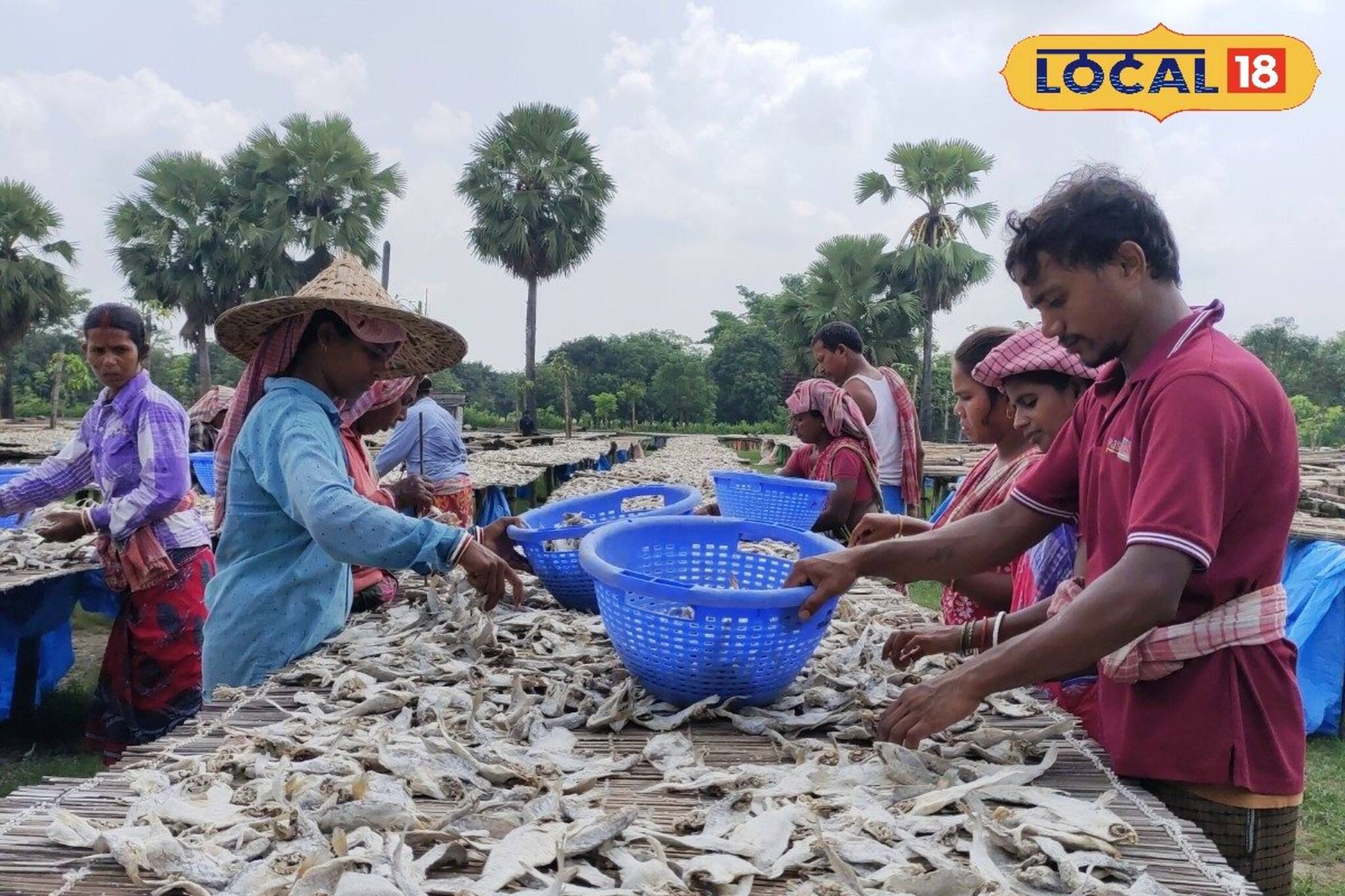 প্রয়োজন পড়বে না পুকুর বা জলাশয়ের দুরন্ত পদ্ধতিতেই মাছের ব্যবসা করলেই আয় হবে লক্ষাধিক