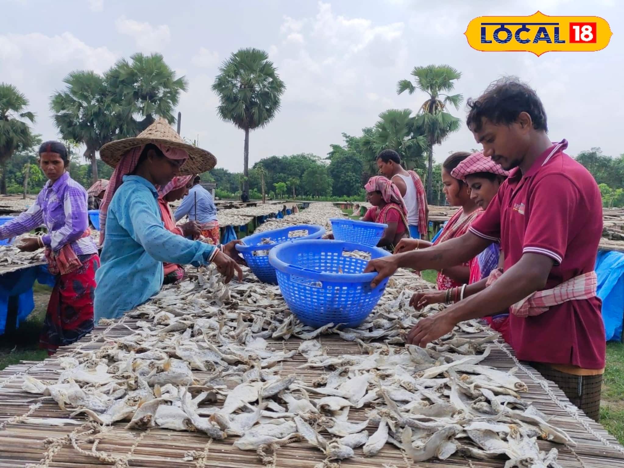 প্রয়োজন পড়বে না পুকুর বা জলাশয়ের দুরন্ত পদ্ধতিতেই মাছের ব্যবসা করলেই আয় হবে লক্ষাধিক