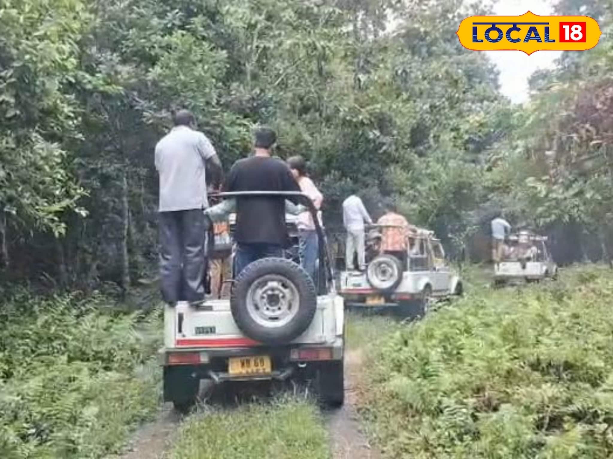 Travel: ফাঁকা নেই হোটেলের রুম! কেন সবাই ভিড় জমাচ্ছেন বক্সা এবং জলদাপাড়ার জঙ্গলে?