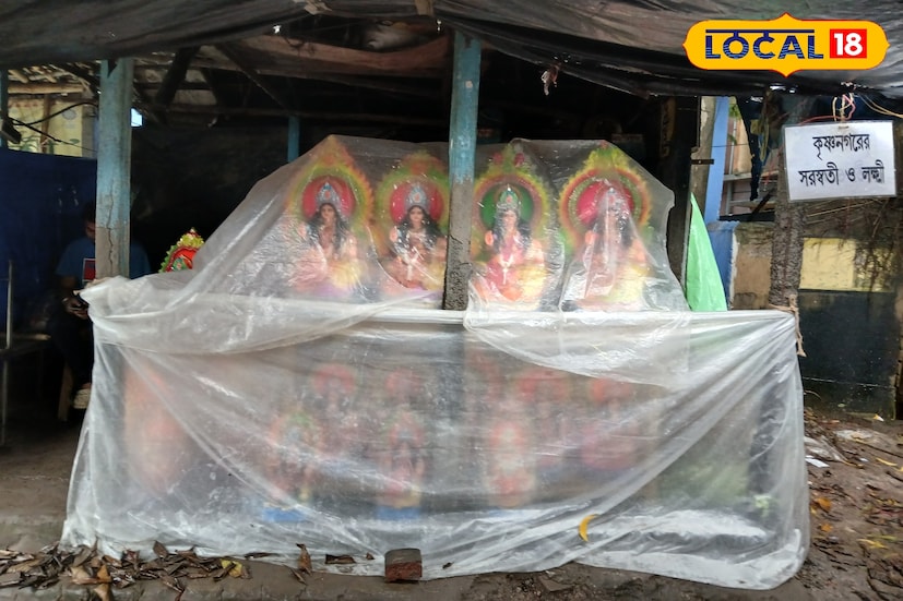 বিক্রেতা ধনঞ্জয় ধর বলেন, আমার ব্যারাকপুরে বাড়ি। শাঁখা ও পলার ব্যবসা রয়েছে কিন্তু বাড়তি লক্ষ্মী লাভের আশায় লক্ষ্মী পুজোর সময় কৃষ্ণনগরের থেকে ঠাকুর কিনে এনে বর্ধমানে বিক্রি করি। এবারে যা বৃষ্টি হচ্ছে ক্রেতা একেবারে নেই বললেই চলে। হাতে আর মাত্র একটা দিন। বিক্রি না হলে থাকা খাওয়ার খরচাই উঠবে না,লাভ তো দূরের কথা। (চিত্র ও তথ্য সূত্র: সায়নী সরকার)