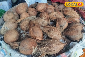 লক্ষ্মীপুজোয় চাই নাড়ু! নারকেল কিনতে গিয়েই হাতে ছ্যাঁকা ক্রেতাদের, দাম কত যাচ্ছে? লক্ষ্মীপুজোয় চাই নাড়ু! নারকেল কিনতে গিয়েই হাতে ছ্যাঁকা ক্রেতাদের, দাম কত যাচ্ছে?