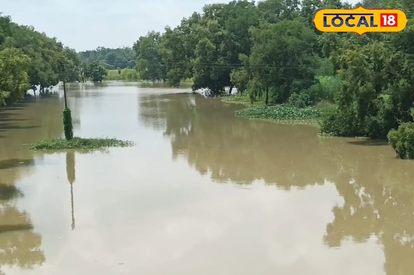 নদীর জলস্তর বাড়তেই বাঁধে দেখা দিয়েছে ভয়াবহ ভাঙন। সেচ দপ্তরের রিপোর্ট অনুযায়ী, অন্তত পাঁচটি জায়গায় প্রায় ১৫০ মিটার বাঁধ ভেঙে পড়েছে। এর মধ্যে সবচেয়ে আশঙ্কাজনক পরিস্থিতি পটাশপুর ১ ব্লকের গোপালপুরের মাধবচকে। সেখানে দুটি আলাদা স্থানে প্রায় ৫৫ মিটার বাঁধ ও তার পাশের পাকা রাস্তার অংশ ভেঙে নদীতে নেমে গিয়েছে। হঠাৎ এই ধস যাতায়াত ব্যবস্থা বিপর্যস্ত হয়েছে। 