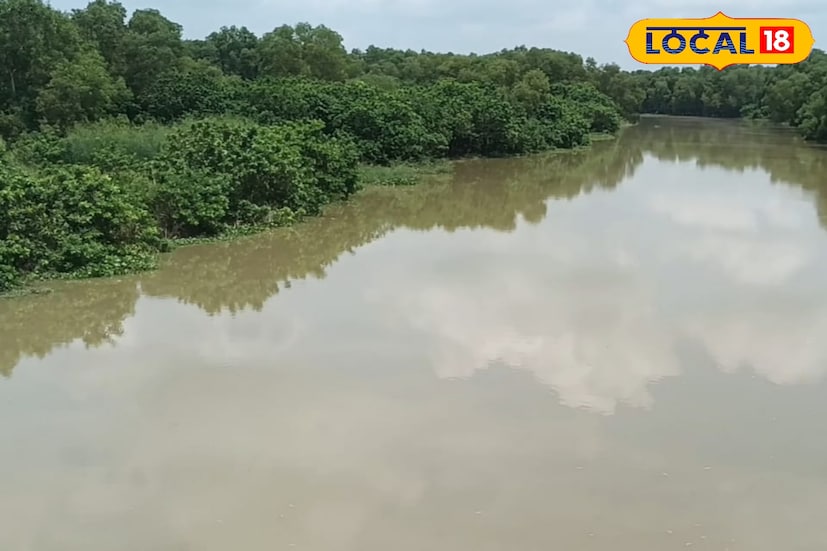 আমগাছিয়া বাংলো সেচ দপ্তরের জুনিয়র ইঞ্জিনিয়ার শান্তনু পাল বলেন, “নবমী থেকে টানা বৃষ্টি চলছে। তাতেই কেলেঘাইয়ের জলস্তর দ্রুত বেড়ে শুক্রবার রাতেই প্রাথমিক বিপদসীমা অতিক্রম করেছে। শনিবার রাত পর্যন্ত তা আরও বেড়ে দাঁড়িয়েছে ৫.৪০ মিটারে।” তিনি জানান, চরম বিপদসীমা ৫.৭৯ মিটার ছুঁতে আর মাত্র কয়েক মিটার বাকি। এই পরিস্থিতিতে প্রশাসন বিশেষ নজরদারি চালাচ্ছে। 
