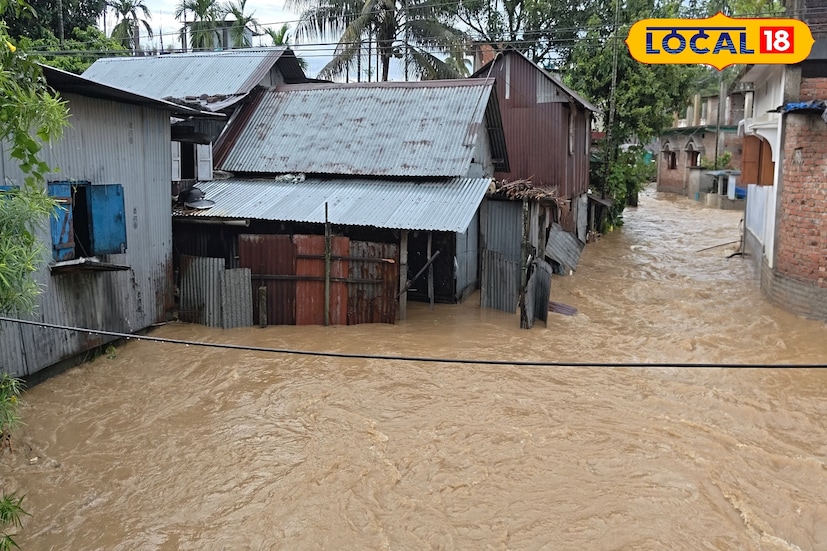 এছাড়াও ৩১ নম্বর জাতীয় সড়কের একাধিক অংশে কালভার্ট ও সেতু ভেঙে পড়েছে, ফলে ব্যাহত হচ্ছে যান চলাচল। যাত্রীদের পড়তে হচ্ছে চরম দুর্ভোগে। এমনি ভিডিও ভাইরালতে সোশ্যাল মিডিয়া ভাইরাল প্রশাসনের নজর কারবার জন্য। 