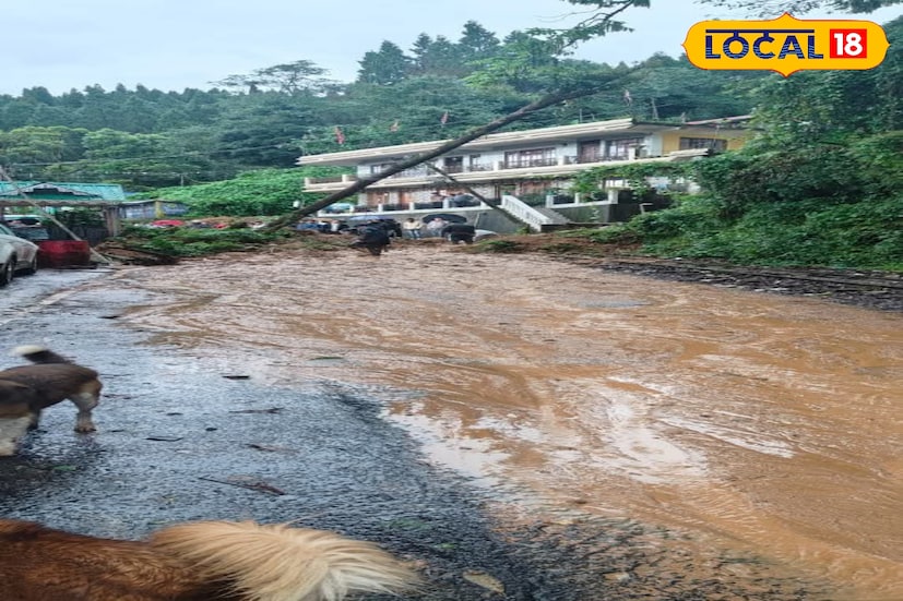 *সোরেং: রেস্তি–জোরেথাং রোড পরিষ্কার। সোমবারিয়া থেকে সোরেং রোড রুমবুকে বন্ধ, গাড়ি ঘুরছে সাল্টিগোলার পথে। সোবারিয়া–নয়াবাজার রোড টাইটানিক পার্ক, দরামদিনে অবরুদ্ধ। অন্যান্য রাস্তা পরিষ্কার ও গাড়ি চলাচলের উপযোগী।