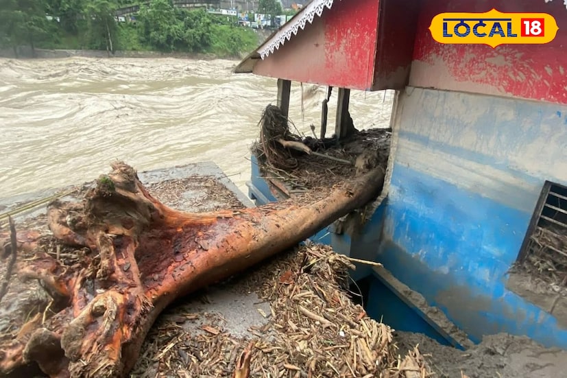 প্রশাসনের তরফে পর্যটক ও স্থানীয়দের জন্য ২৪ ঘণ্টা কন্ট্রোল রুম ও হেল্পলাইন চালু করা হয়েছে — রাজ্য দুর্যোগ দফতর: ১০৭০ / ৮৬৯৭৯৮১০৭০ / ২২১৪৩৫২৬ / ২২৫৩৫১৮৫ দার্জিলিং পুলিশ কন্ট্রোল রুম : ৯১৪৭৮৮৯০৭৮ পর্যটন দফতর, মেনাক (WBTDCL): ০৩৫৩-২৫১৩৯৮৬ HHTDN হেল্পলাইন: +৯১ ৯১৪৪৪ ৩৩৩১০ কলকাতা (বিবিডি বাগ): ১৮০০ ২১২ ১৬৫৫ শিলিগুড়ি পুলিশ কন্ট্রোল রুম: ০৩৫৩-২৬৬২০১০ / ২৬৬২২১০ মোবাইল: ৭৮৭২৭০৭৭৩৩ / ৭০০১৩১০১২৭ / ৯১৪৭৮৮৯৬০৭ জেলা সদর দপ্তর (District HQ): ০৩৫৪-২২৫৫৭৪৯ / ৮২৯৩৮৩২২২৪ এসডিও কার্শিয়াং: ০৩৫৪-২৩৪৪৪৪৮ / ৭৫০১৭৬৪৯৯৬ এসডিও মিরিক: ৯৪৩৪৪২৩৪৪১ এসডিও শিলিগুড়ি: ০৩৫৩-২৫১০১৬২ বিডিও দার্জিলিং-পুলবাজার: ৯২৩৯৩৪৭২২০ বিডিও কার্শিয়াং: ০৩৫৪-২৯৯৯২৭১ বিডিও মিরিক: ৯৬৪১৫৮২৫২৩ বিডিও মাটিগাড়া: ০৩৫৩-২৫৮০৪০০ বিডিও নকশালবাড়ি: ০৩৫৩-২৯৯৯১৩৮ বিডিও খরিবাড়ি: ০৩৫৩-২৫৫৪৭০১ বিডিও ফাঁসিদেওয়া: ৭০০১৮৯৬৩১৪ শিলিগুড়ি মিউনিসিপাল কর্পোরেশন টুরিস্ট হেল্প লাইন : ৭৫৫৭০৩৫১৯৪ 