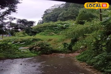 উত্তরবঙ্গে প্রবল বর্ষণ! শিলিগুড়ি-দার্জিলিং-কালিম্পংয়ের কোন রাস্তা খোলা, কোনটা বন্ধ? জানুন