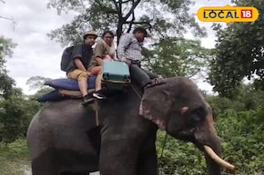 ভেঙেছে রাস্তা, শিসামারা নদীর ভয়ঙ্কর রূপ, কুনকি হাতির পিঠে চড়ে এলাকা ছাড়ছেন পর্যটকরা