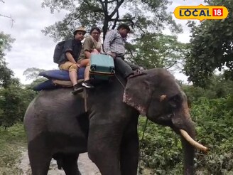 ভেঙেছে রাস্তা, শিসামারা নদীর ভয়ঙ্কর রূপ, কুনকি হাতির পিঠে চড়ে এলাকা ছাড়ছেন পর্যটকরা