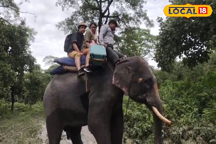 জলদাপাড়ার টুরিস্ট লজ যাওয়ার রাস্তা ভেঙে পড়েছে।সেখানে বন্যা পরিস্থিতি দেখা গিয়েছে।পর্যটকদের পক্ষে হলং নদী পার করে প্রধান রাস্তায় আসা সম্ভব হচ্ছে না।যারফলে তাঁদের উদ্ধার করতে নামানো হয়েছে দুটি কুনকি হাতি। 