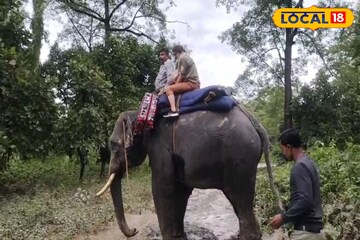 ভেঙেছে রাস্তা, শিসামারা নদীর ভয়ঙ্কর রূপ, কুনকি হাতির পিঠে চড়ে এলাকা ছাড়ছেন পর্যটকরা
