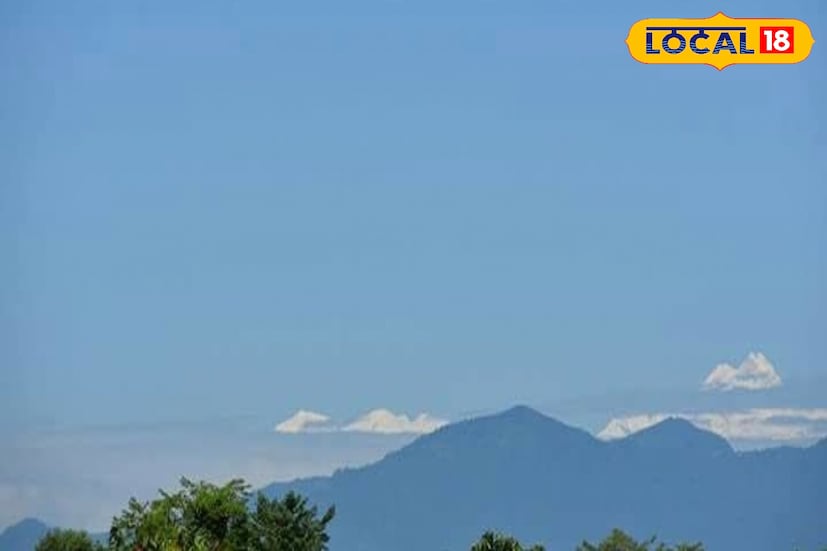 লাটাগুড়ি ও গরুমারা সংলগ্ন জঙ্গলের পাশ এলাকায় এখনও জল জমে রয়েছে, বন্যার কাদা ঢেকে দিয়েছে বহু ঘরবাড়ি। কিন্তু সেই মনখারাপের আবহেই প্রকৃতি যেন একটু হাসি উপহার দিল পর্যটক ও স্থানীয়দের।
