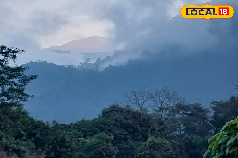 পর্যটকদের একাংশ জানিয়েছেন, “এমন প্রাকৃতিক দুর্যোগের মধ্যেও কাঞ্চনজঙ্ঘাকে এত কাছ থেকে দেখা এক অদ্ভুত অভিজ্ঞতা। মনে হচ্ছে প্রকৃতি নিজের সৌন্দর্য দিয়েই যেন সান্ত্বনা দিচ্ছে।” 