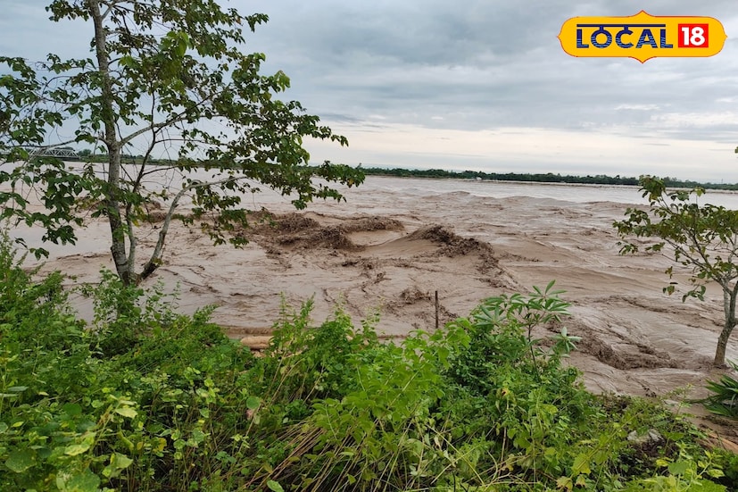 বন দফতর সূত্রে খবর, ভুটান পাহাড়ে টানা প্রবল বৃষ্টির জেরে ডুয়ার্স অঞ্চলের একাধিক নদী ও ঝোরা ভয়ঙ্কর রূপ নিয়েছে। জলদাপাড়া ও গরুমারার জঙ্গলের ভিতর দিয়ে প্রবাহিত নদীগুলিতে জলের স্রোত বেড়ে যাওয়ায় বিপন্ন হয়ে পড়েছে বন্যপ্রাণ। ইতিমধ্যেই জলের তোড়ে ভেসে গিয়েছে একাধিক হরিণ ও দুটি গণ্ডার। এর মধ্যে একটি গণ্ডারের মৃত্যু হয়েছে বলেও জানা গেছে। 