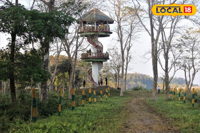 উত্তরবঙ্গের গরুমারা জাতীয় উদ্যানের জঙ্গলে সাফারির উপর জারি হয়েছে আংশিক নিষেধাজ্ঞা। বন দফতরের নির্দেশ অনুযায়ী আপাতত বন্ধ রাখা হয়েছে মেদলা ওয়াচটাওয়ার। 