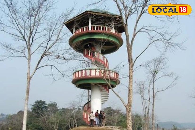 তবে যাত্রাপ্রসাদ ও চাপড়ামারি ওয়াচটাওয়ার পর্যটকদের জন্য খোলা থাকবে। আগামী কয়েকদিন পরিস্থিতি পর্যবেক্ষণ করে পরবর্তী সিদ্ধান্ত নেওয়া হবে বলে জানিয়েছেন গরুমারার সহকারী বন্যপ্রাণ আধিকারিক রাজীব দে। 