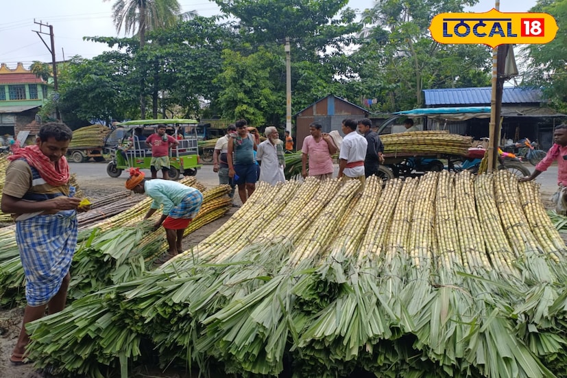 পূর্বস্থলী এলাকার নাদনঘাট থানার গোয়ালপাড়া রাজ্যের অন্যতম বৃহৎ আখের পাইকারি বাজার। এখান থেকেই আখ পাঠানো হয় কলকাতা, বর্ধমান, মুর্শিদাবাদ, মালদা ছাড়াও বিহার, ঝাড়খণ্ড ও উত্তরপ্রদেশে। প্রতিদিন ভোর থেকেই এখানে জমে ওঠে আখের ব্যবসা, ভরে ওঠে ট্রাক ও ভ্যানের সারি। স্থানীয় কৃষকদের কাছে এই বাজারই যেন জীবিকার প্রধান ভরসা। 
