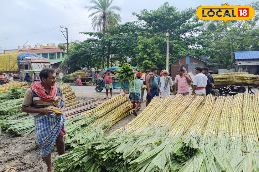 স্থানীয় আখচাষি সাহেব আলি শেখ জানান, “এবার আখের ভালো দাম পাচ্ছি, তাই খুশি আমরা।” আরেক চাষি শেখ সের মণ্ডলের কথায়, “আখ চাষে পরিশ্রম অনেক, কিন্তু লাভও তার চেয়ে বেশি।” সব মিলিয়ে আখ চাষে এখন হাসি ফুটেছে চাষিদের মুখে। ভালো দাম, চাহিদা ও পরিশ্রমের সঠিক পুরস্কার পেয়ে আনন্দে ভাসছেন পূর্ব বর্ধমানের আখচাষিরা। 