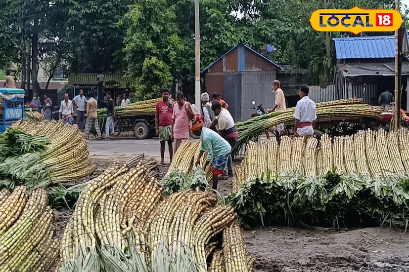 আসন্ন ছটপুজোকে ঘিরে আখের চাহিদা আরও বাড়বে বলে আশা করছেন কৃষকরা। কারণ এই পুজোকে কেন্দ্র করে আখের বিক্রি হয় সবচেয়ে বেশি। প্রতি বছর ছটের আগে পাইকারি বাজারে আখের দাম যেমন বাড়ে, তেমনই চাহিদাও বহুগুণে বৃদ্ধি পায়। ফলে চাষিরা এখন থেকেই ফসল কাটার ও বাজারে পাঠানোর প্রস্তুতি নিচ্ছেন। 