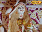 ২০ কেজি সাবু, কয়েক কিলো পাপড়! কোজাগরী লক্ষ্মী পুজোয় শিল্পীর কাজ কাঁপিয়ে দিচ্ছে