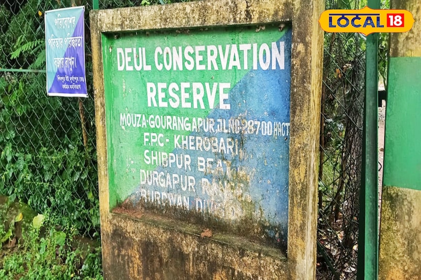 দুর্গাপুর বনদপ্তর থেকে কাঁকসা ব্লকের গৌরাঙ্গপুর গ্রামের দেউলের জঙ্গলে হরিণ ও ময়ূরের জন্য সংরক্ষণ কেন্দ্র গড়ে তোলা হয় ১৯৯২ সালে। এটি বনদপ্তরের শিবপুর বিট অফিসের আওতাধীনে।( ছবি ও তথ্য : দীপিকা সরকার) 