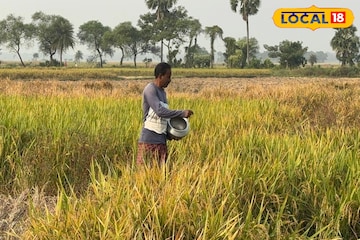 অল্প খরচে বেশি ফলন, পরিশ্রম নেই বললেই চলে! চাষ করতে পারেন এই পদ্ধতিতে অল্প খরচে বেশি ফলন, পরিশ্রম নেই বললেই চলে! চাষ করতে পারেন এই পদ্ধতিতে
