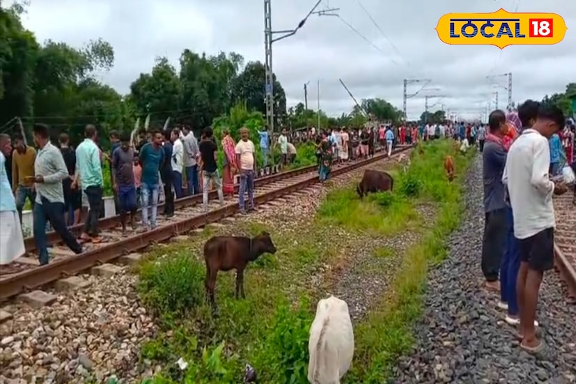 তবুও সোমবার সকালের ঘটনাটি মানুষ ও প্রকৃতির এক অনন্য সহাবস্থানের বার্তা দিল, যেখানে বিপদের মুখেও মানুষের সহমর্মিতা আবারও রক্ষা করল এক নিরপরাধ জীবনের অস্তিত্ব। (ছবি ও তথ্য: সুরজিৎ দে) 