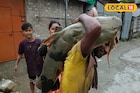 ১০০ কেজি ওজন! মৎস্য়জীবীদের জালে দৈত্যাকার বাঘা আড়, দাম শুনলে ভিড়মি খাবেন