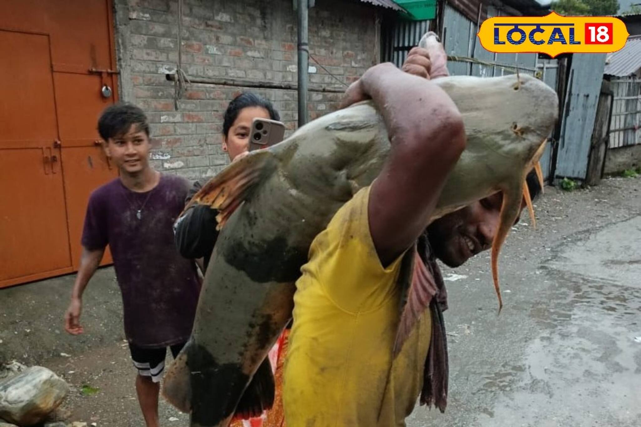 Fish: ১০০ কেজি ওজন! মৎস্য়জীবীদের জালে দৈত্যাকার বাঘা আড়, দাম শুনলে ভিড়মি খাবেন